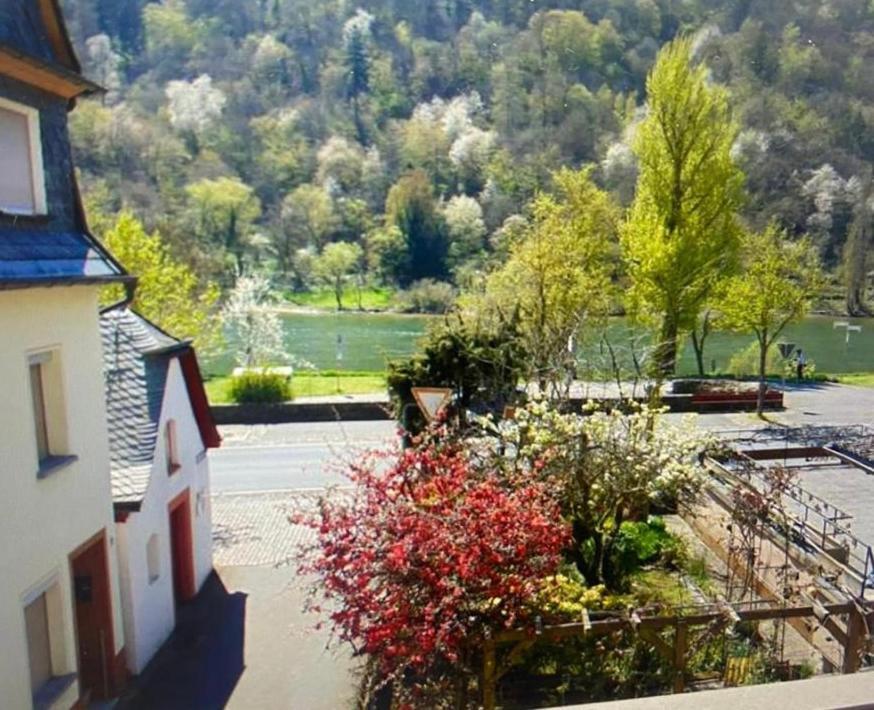 Ferienhaus Moselblick Am Kapellchen إيديغير إيلير المظهر الخارجي الصورة